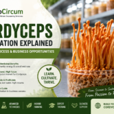 Cordyceps-Cultivation-Explained-Benefits-Process-Business-Opportunities-in-India