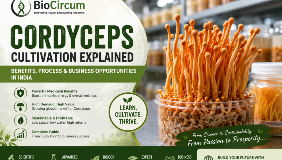 Cordyceps-Cultivation-Explained-Benefits-Process-Business-Opportunities-in-India