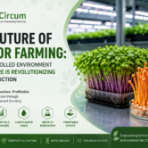 The-Future-of-Indoor-Farming-Why-Controlled-Environment-Agriculture-Is-Revolutionizing-Food-Production