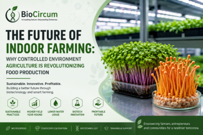 The-Future-of-Indoor-Farming-Why-Controlled-Environment-Agriculture-Is-Revolutionizing-Food-Production