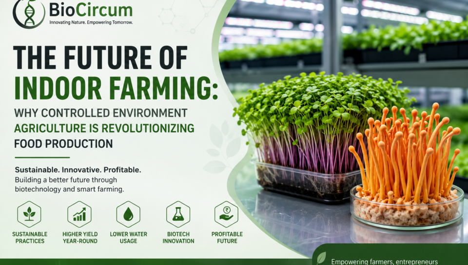 The-Future-of-Indoor-Farming-Why-Controlled-Environment-Agriculture-Is-Revolutionizing-Food-Production