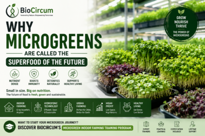 Why-Microgreens-Are-Called-the-Superfood-of-the-Future